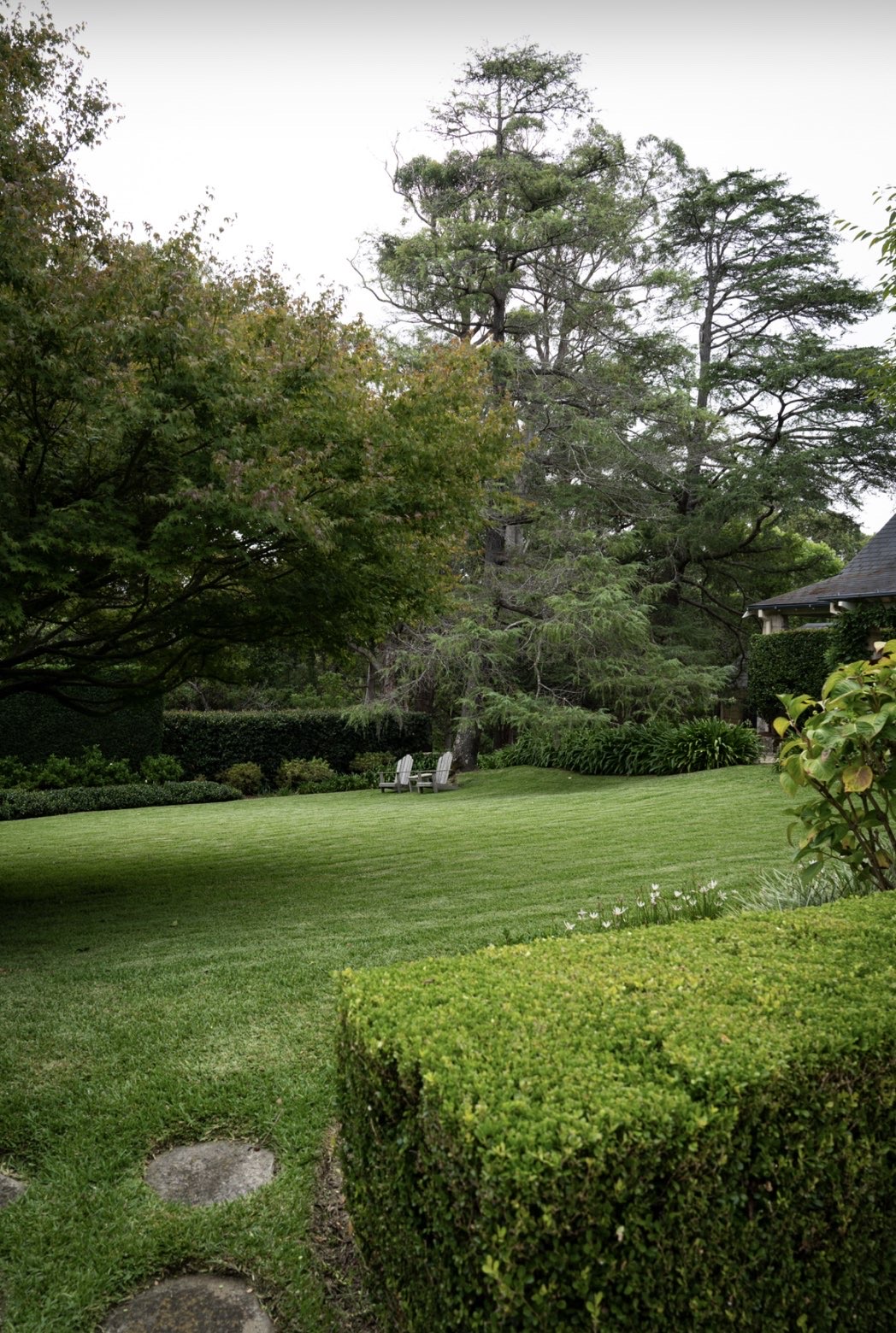 Lush manicured Sydney lawn with mature hedges and garden chairs